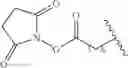 Fig. 183 - Preparation of Oligo Conjugates