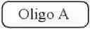 Fig. 191 - Preparation of Oligo Conjugates
