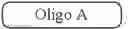 Fig. 193 - Preparation of Oligo Conjugates