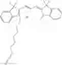 Fig. 202 - Preparation of Oligo Conjugates