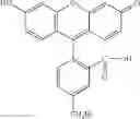 Fig. 205 - Preparation of Oligo Conjugates