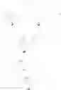 Fig. 216 - Preparation of Oligo Conjugates