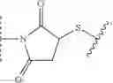 Fig. 23 - Preparation of Oligo Conjugates