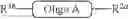 Fig. 252 - Preparation of Oligo Conjugates