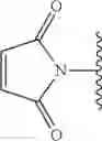 Fig. 262 - Preparation of Oligo Conjugates