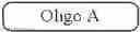 Fig. 304 - Preparation of Oligo Conjugates