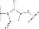 Fig. 41 - Preparation of Oligo Conjugates