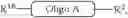 Fig. 79 - Preparation of Oligo Conjugates