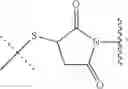 Fig. 94 - Preparation of Oligo Conjugates