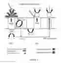 Fig. 02 - Method for the synthesis of phycocyanin