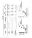 Fig. 07 - Neutralizing GP41 antibodies and their use