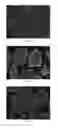 Fig. 02 - Anti-p40 antibodies systems and methods