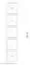 Fig. 20 - Anti-p40 antibodies systems and methods
