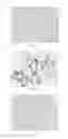 Fig. 24 - Anti-p40 antibodies systems and methods