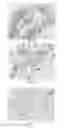 Fig. 26 - Anti-p40 antibodies systems and methods