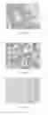 Fig. 33 - Anti-p40 antibodies systems and methods
