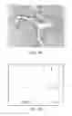 Fig. 37 - Anti-p40 antibodies systems and methods