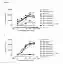 Fig. 04 - Humanized or chimeric CD3 antibodies