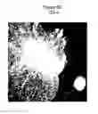 Fig. 09 - Synthetic Surfaces For Culturing Stem Cell Derived Oligodendrocyte Progenitor Cells