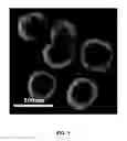 Fig. 02 - Method for promoting generation of stem cell-derived exosome by using thrombin