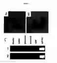 Fig. 08 - Population of isolated chicken cells reprogrammed from somatic cells