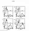 Fig. 09 - Population of isolated chicken cells reprogrammed from somatic cells