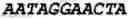 Fig. 22 - Bacteria Engineered to Treat Diseases Associated with Hyperammonemia