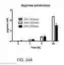 Fig. 77 - Bacteria Engineered to Treat Diseases Associated with Hyperammonemia