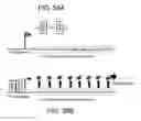Fig. 83 - Bacteria Engineered to Treat Diseases Associated with Hyperammonemia