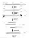 Fig. 09 - COMPOSITIONS AND METHODS FOR NUCLEIC ACID AMPLIFICATION