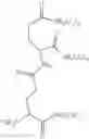 Fig. 08 - MicroRNA compounds and methods for modulating miR-21 activity