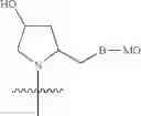 Fig. 28 - MicroRNA compounds and methods for modulating miR-21 activity
