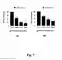 Fig. 08 - Method of Treatment of Vascular Complications