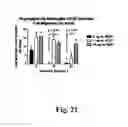 Fig. 22 - Method of Treatment of Vascular Complications