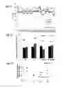 Fig. 03 - miR-122* as an active micro-RNA, compositions comprising the same and uses thereof