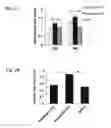 Fig. 04 - miR-122* as an active micro-RNA, compositions comprising the same and uses thereof