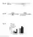 Fig. 06 - miR-122* as an active micro-RNA, compositions comprising the same and uses thereof