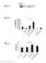 Fig. 08 - miR-122* as an active micro-RNA, compositions comprising the same and uses thereof
