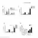 Fig. 03 - Materials and methods for modulation of tendon healing