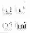 Fig. 04 - Materials and methods for modulation of tendon healing