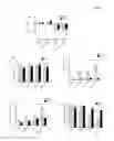 Fig. 06 - Materials and methods for modulation of tendon healing