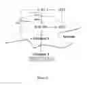 Fig. 12 - Materials and methods for modulation of tendon healing