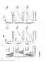 Fig. 32 - 5′ triphosphate oligonucleotide with blunt end and uses thereof