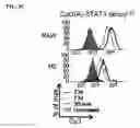 Fig. 06 - STAT3 inhibitors and uses thereof