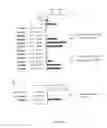 Fig. 16 - 5′ triphosphate oligonucleotide with blunt end and uses thereof
