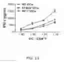 Fig. 28 - Anti-tumor therapy