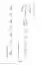 Fig. 04 - Saccharide-modified nucleic acid molecules