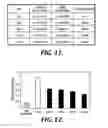 Fig. 09 - DNA element having the activity of enhancing foreign gene expression