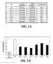 Fig. 10 - DNA element having the activity of enhancing foreign gene expression