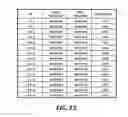 Fig. 11 - DNA element having the activity of enhancing foreign gene expression